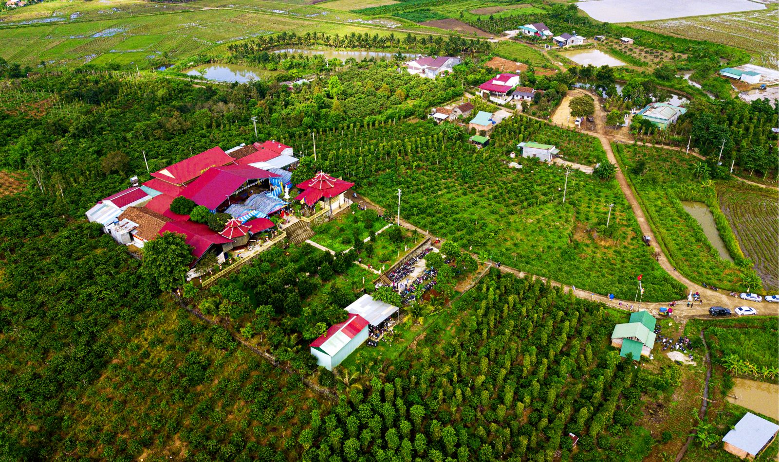 Krông Nô – BTS GHPGVN huyện Krông Nô trang trọng tổ chức Đại lễ Phật đản 2023