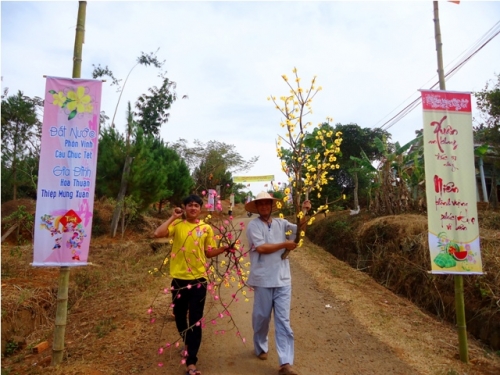 Cao Nguyên xuân về