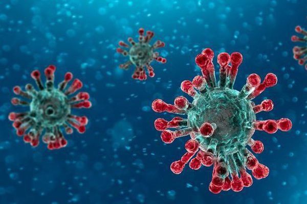 Tin khẩn: Công văn của Hội đồng Trị sự về việc phòng, chống dịch bệnh virus Corona